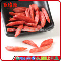 Pianta del goji buy goji berries online goji berry lycium barbarum